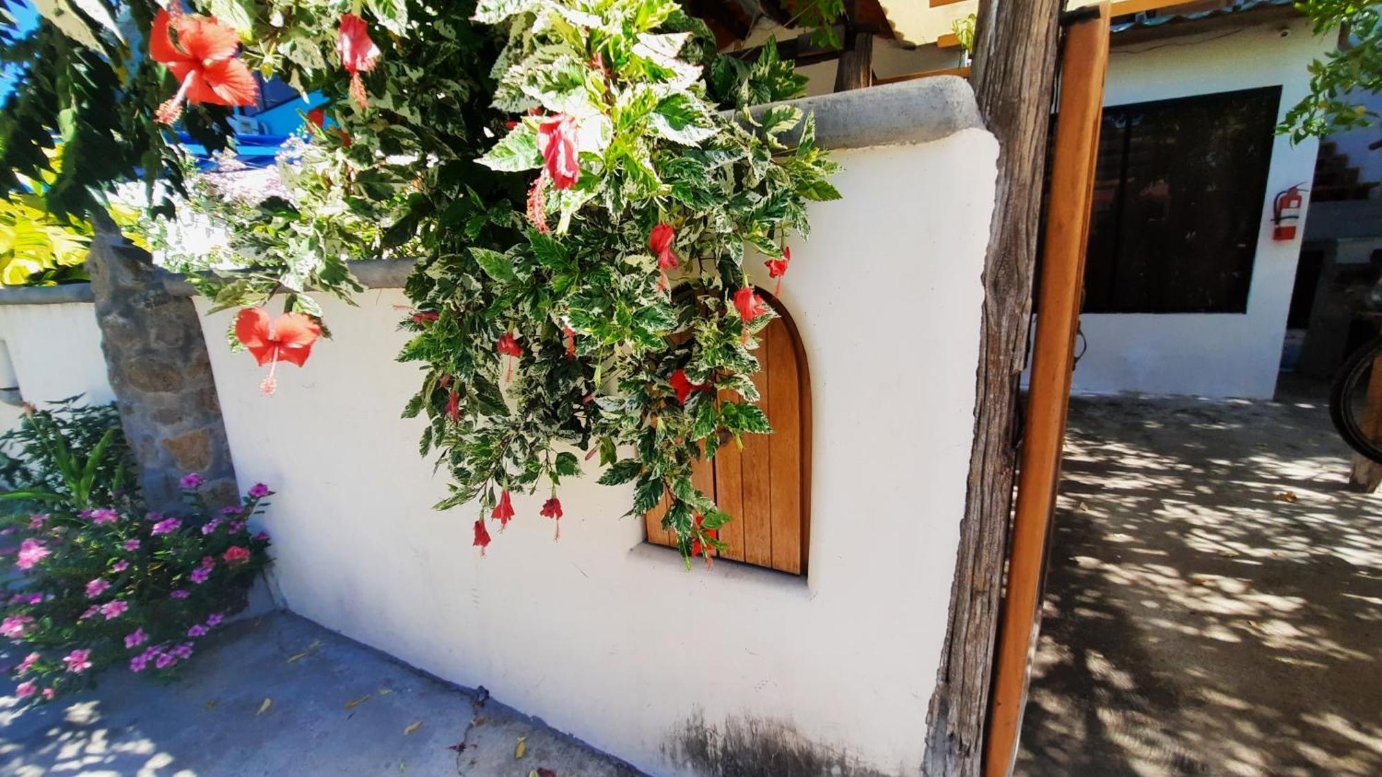 Alma De Cedrela Apartman Puerto Ayora  Kültér fotó