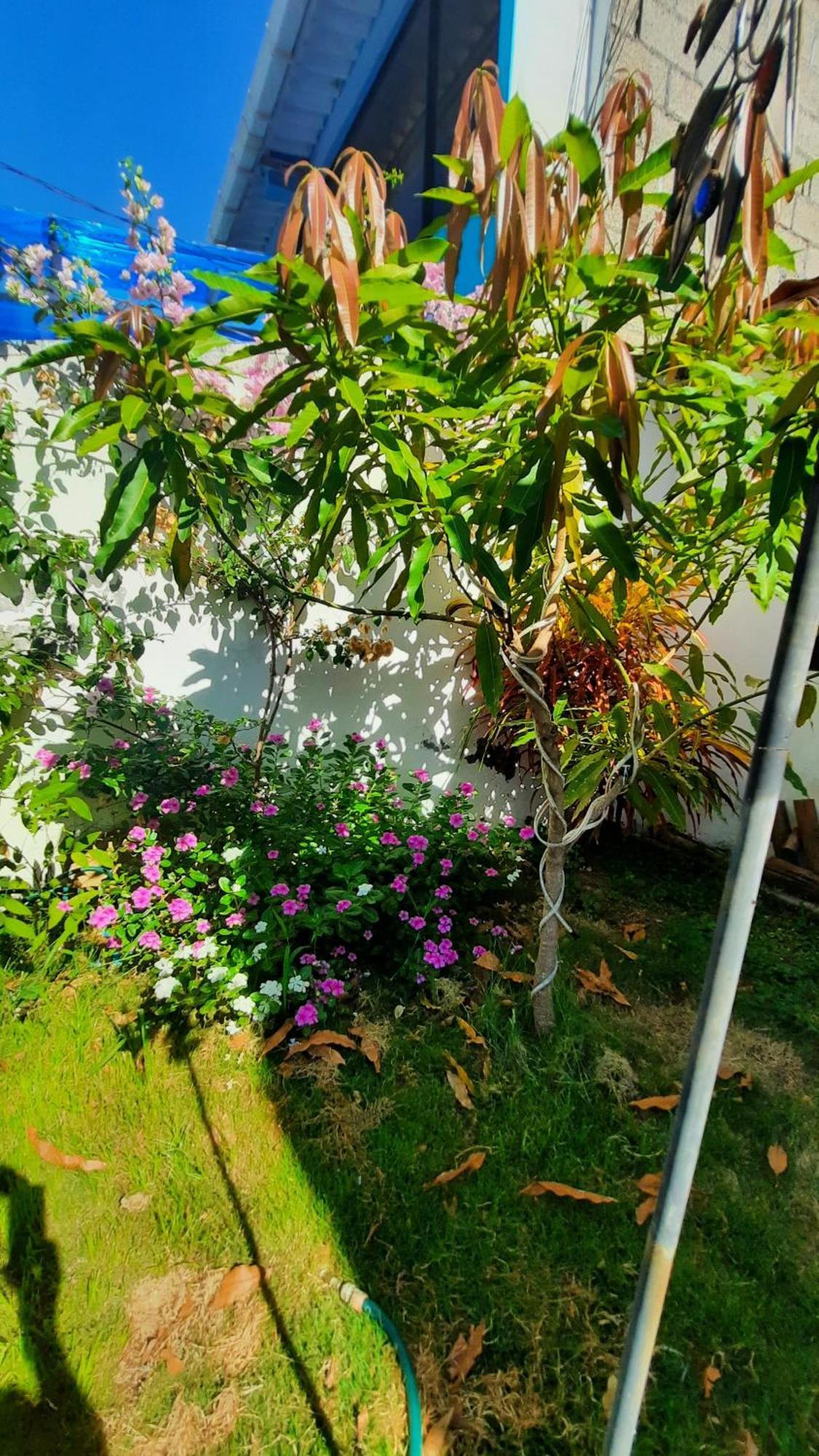 Alma De Cedrela Apartman Puerto Ayora  Kültér fotó