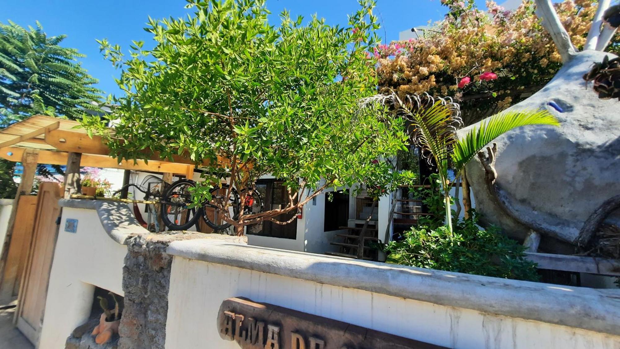 Alma De Cedrela Apartman Puerto Ayora  Kültér fotó