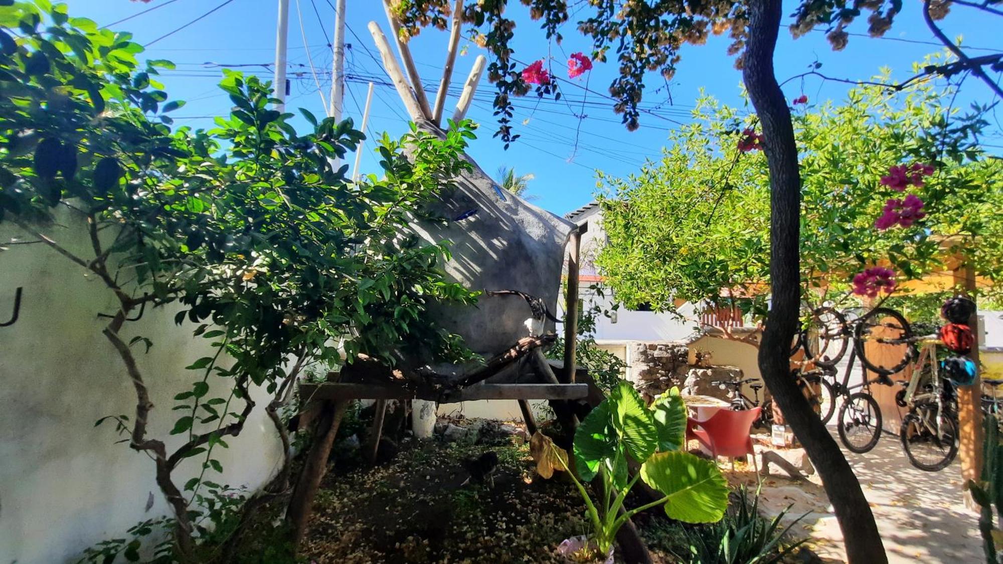 Alma De Cedrela Apartman Puerto Ayora  Kültér fotó