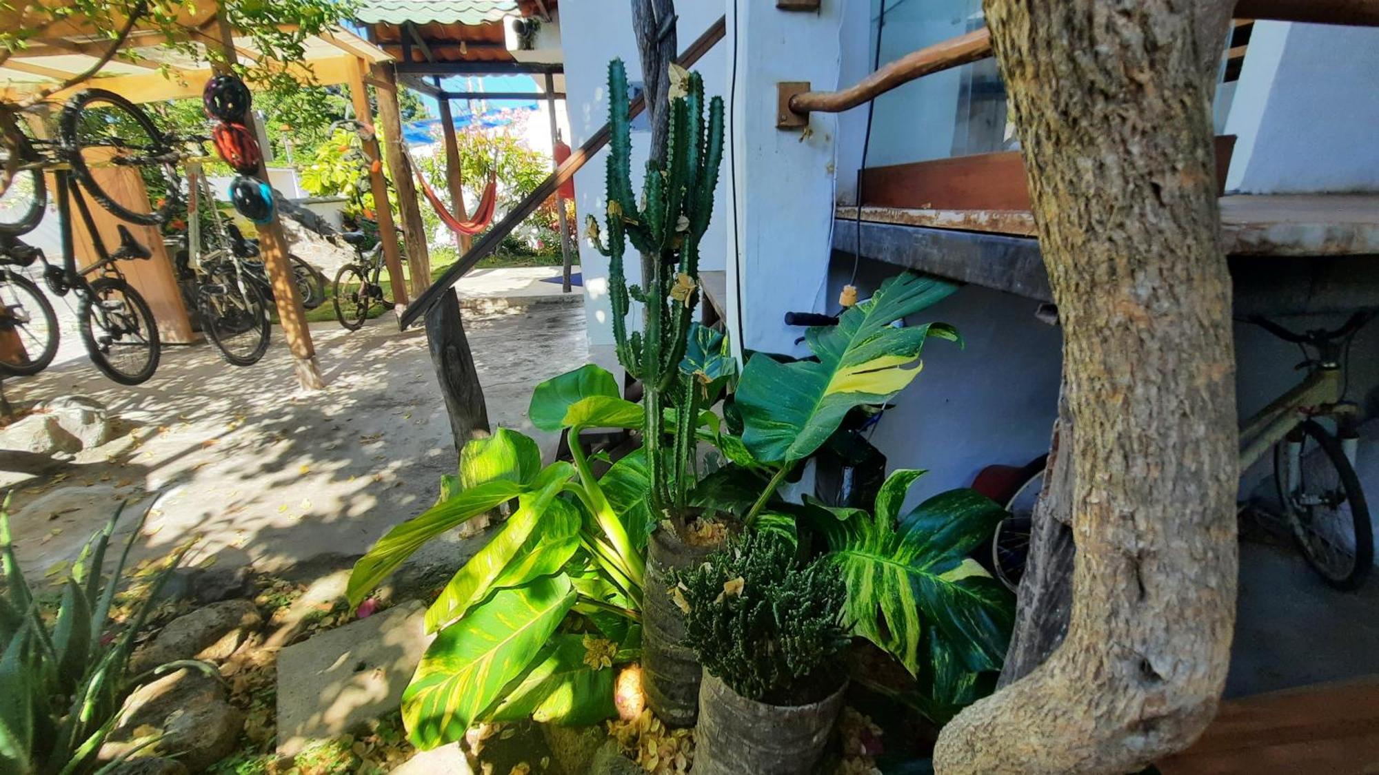 Alma De Cedrela Apartman Puerto Ayora  Kültér fotó