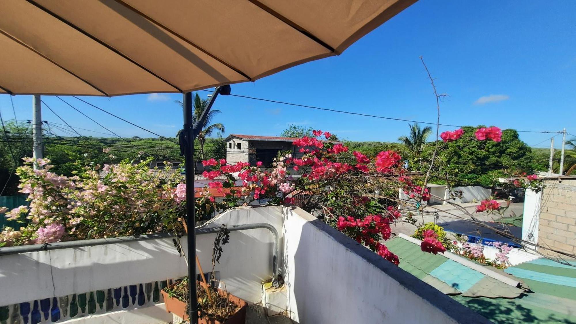 Alma De Cedrela Apartman Puerto Ayora  Kültér fotó